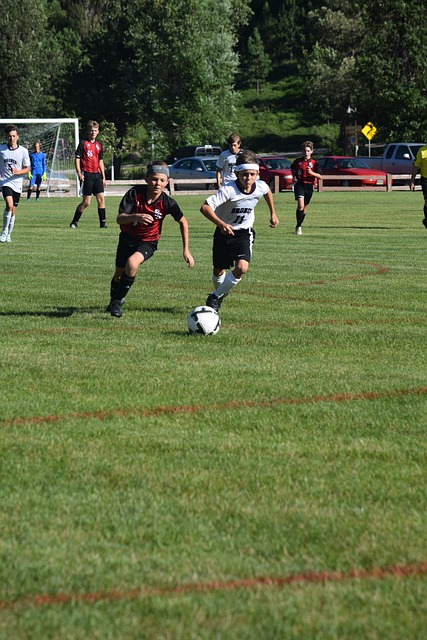 知名篮球运 知名篮球运