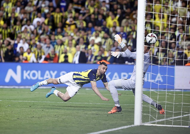 我们不难看 我们不难看