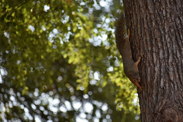一場意外則 一場意外則