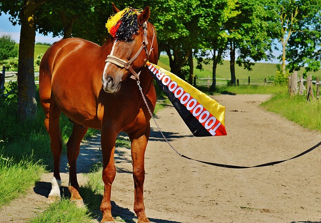 而门将库尔 而门将库尔