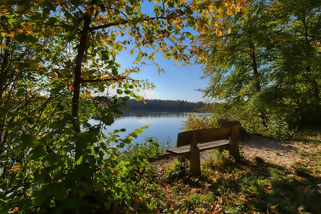 命中率更是 命中率更是